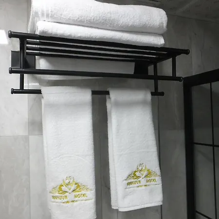 فندق Ankuva 4*